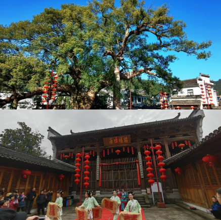 1710137017495611.png 图片3.png